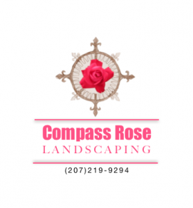 Business Logo Compass Rose